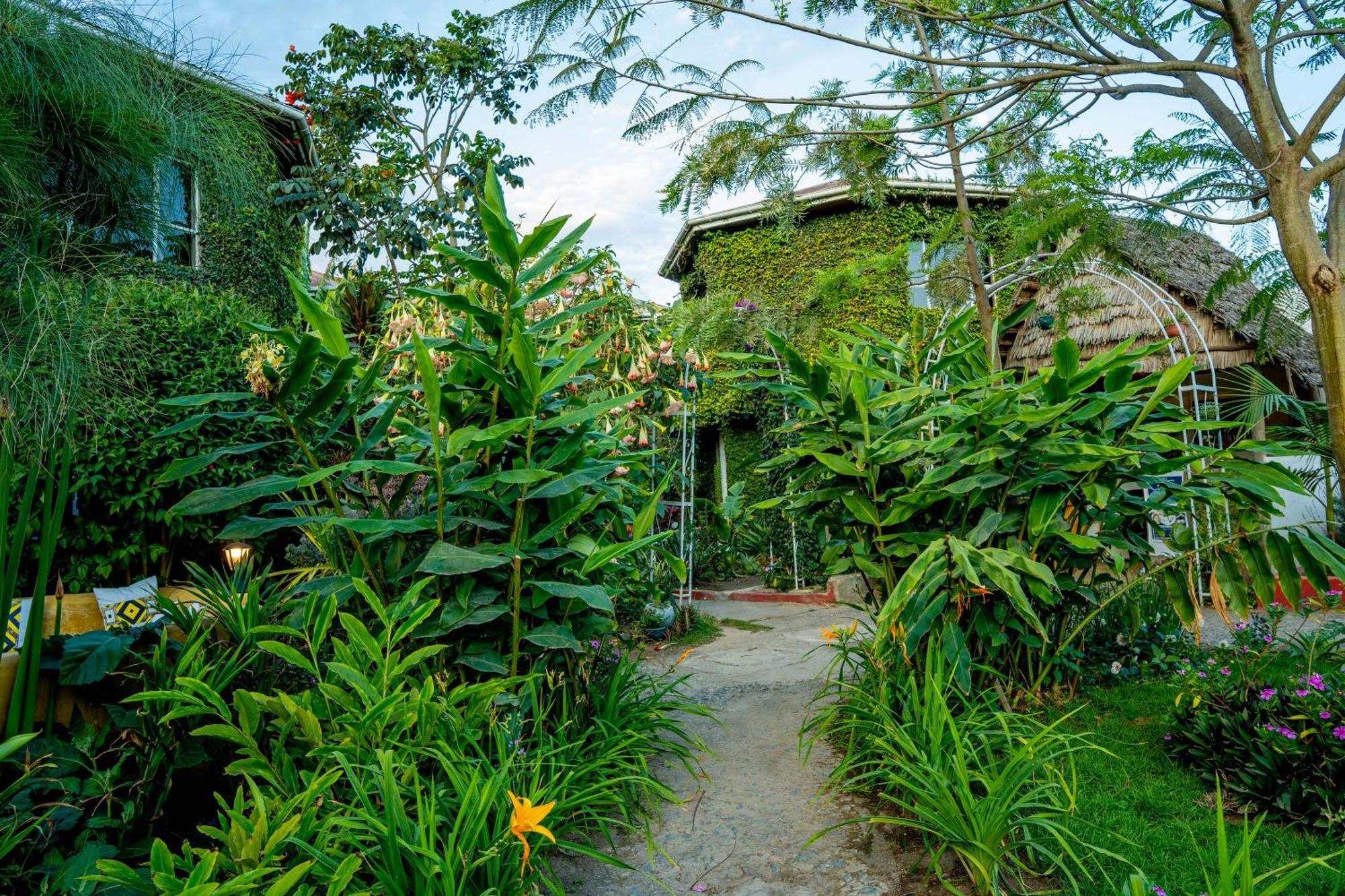 Dan Stam Hotel 아루샤 외부 사진